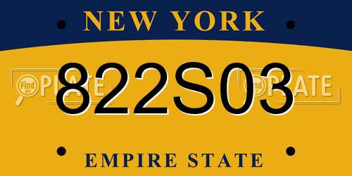 822S03 New York License Plate