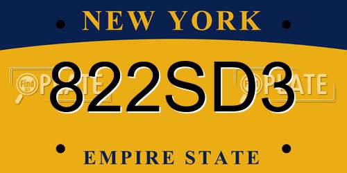 822SD3 New York License Plate