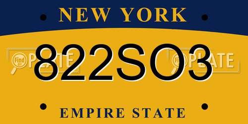 822SO3 New York License Plate