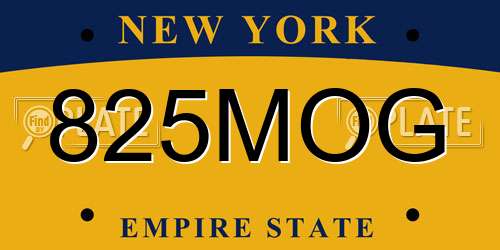 825MOG New York License Plate