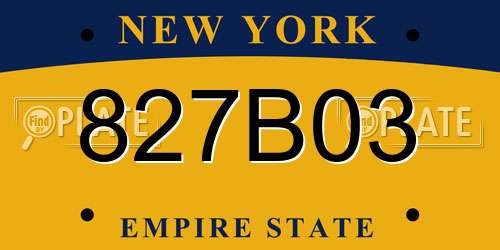 827B03 New York License Plate