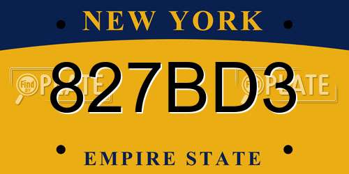 827BD3 New York License Plate