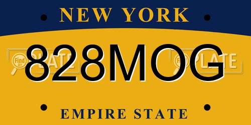 828MOG New York License Plate