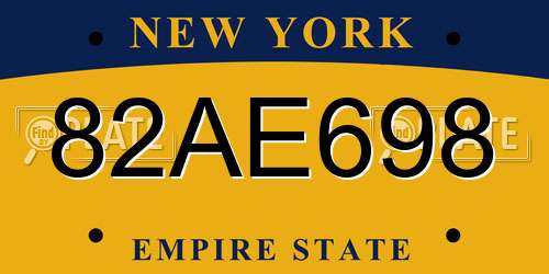 82AE698 New York License Plate