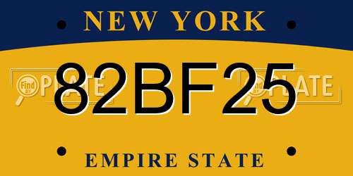 82BF25 New York License Plate