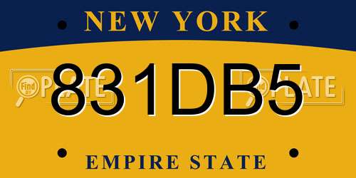 831DB5 New York License Plate