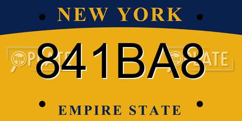 841BA8 New York License Plate