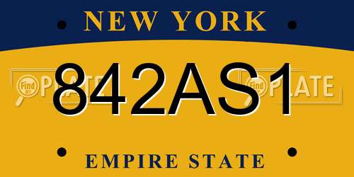 842AS1 New York License Plate