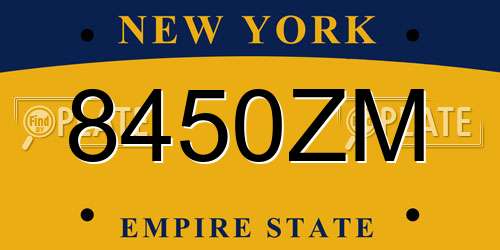8450ZM New York License Plate