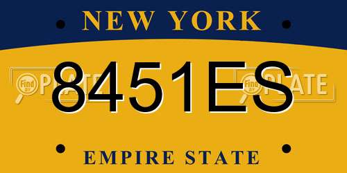 8451ES New York License Plate
