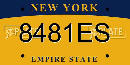 8481ES New York License Plate