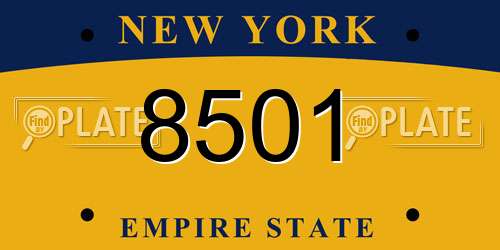 8501 New York License Plate