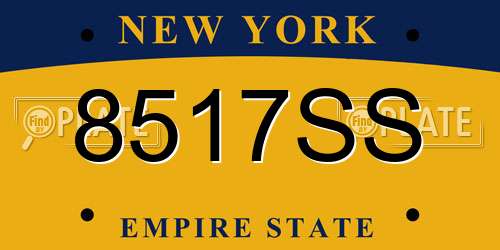 8517SS New York License Plate