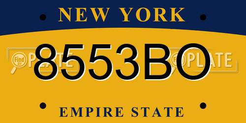 8553BO New York License Plate