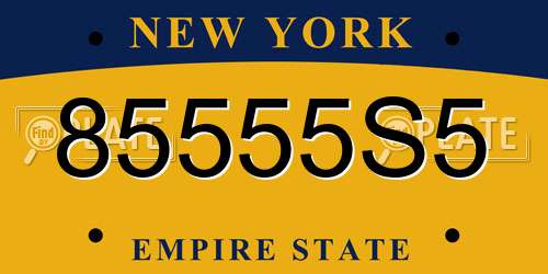 85555S5 New York License Plate