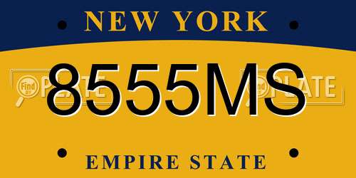 8555MS New York License Plate