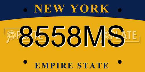 8558MS New York License Plate