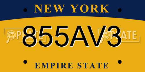 855AV3 New York License Plate