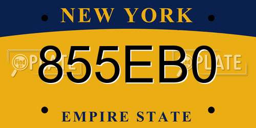 855EB0 New York License Plate