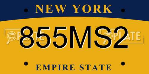 855MS2 New York License Plate