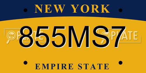 855MS7 New York License Plate