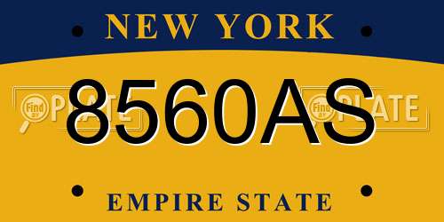 8560AS New York License Plate