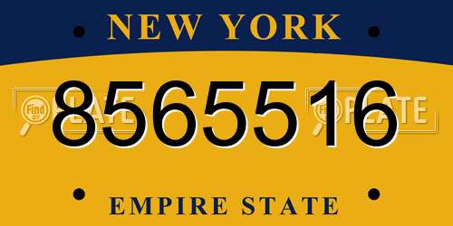 8565516 New York License Plate