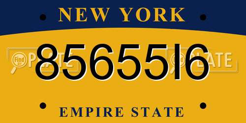 85655I6 New York License Plate