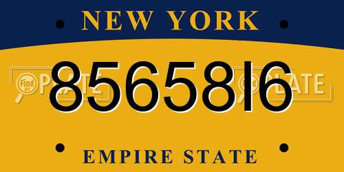 85658I6 New York License Plate