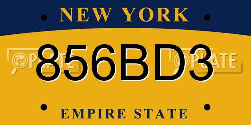 856BD3 New York License Plate