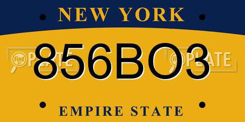 856BO3 New York License Plate