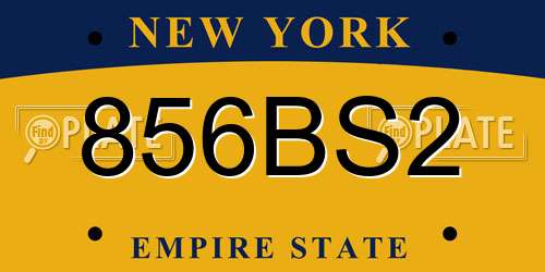 856BS2 New York License Plate