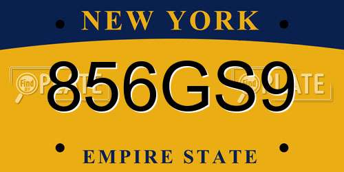 856GS9 New York License Plate