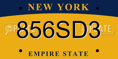 856SD3 New York License Plate