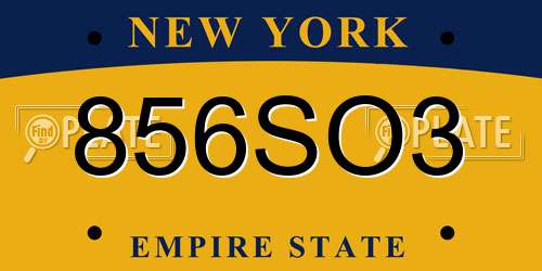 856SO3 New York License Plate