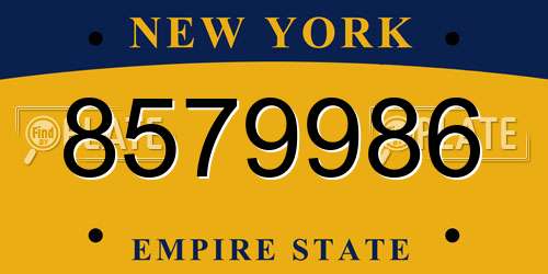 8579986 New York License Plate
