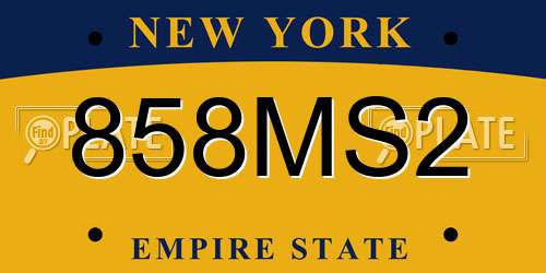 858MS2 New York License Plate