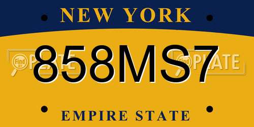 858MS7 New York License Plate