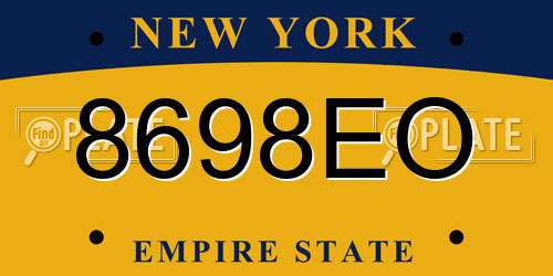 8698EO New York License Plate