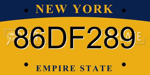 86DF289 New York License Plate