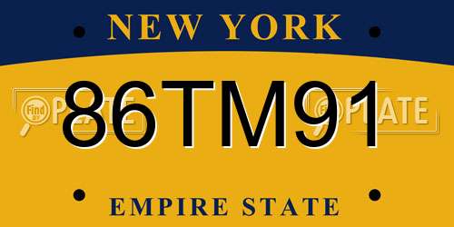86TM91 New York License Plate