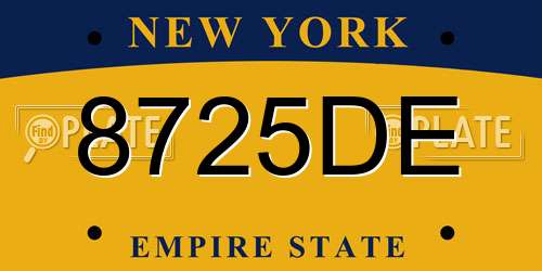 8725DE New York License Plate