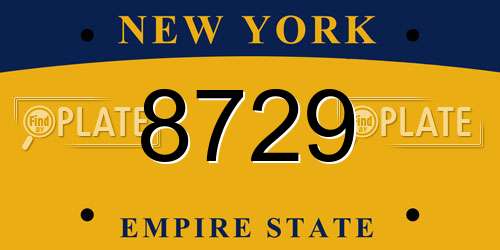 8729 New York License Plate