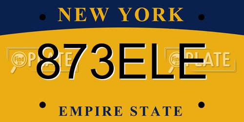 873ELE New York License Plate