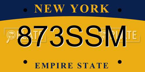 873SSM New York License Plate