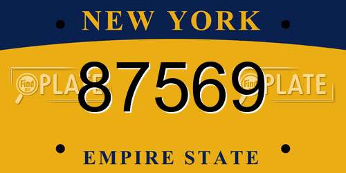 87569 New York License Plate