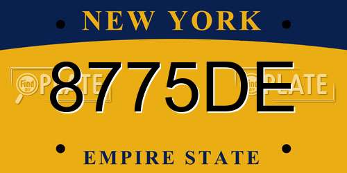 8775DE New York License Plate