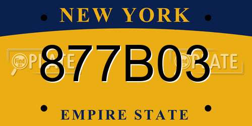 877B03 New York License Plate