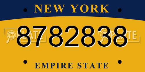 8782838 New York License Plate