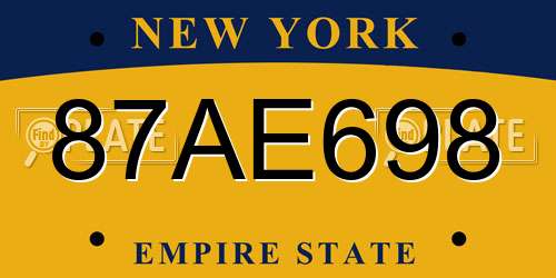 87AE698 New York License Plate